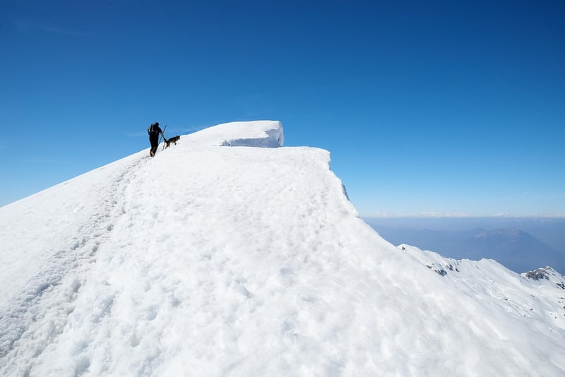 Mountain trekking